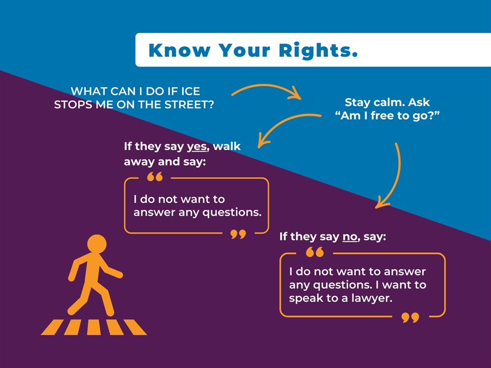 Graphic about what to do if ICE stops you on the street